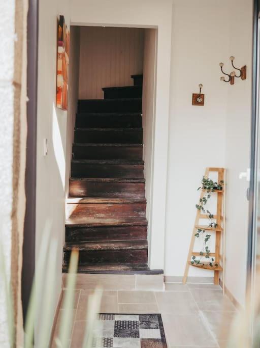 Appartement Avec Patio Sainte-Anne-d'Auray ภายนอก รูปภาพ